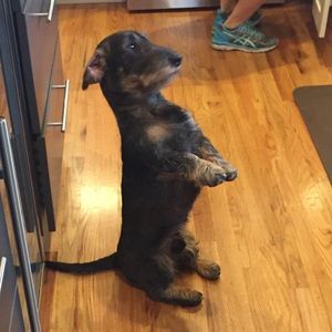 Meet your Posher, Jolie